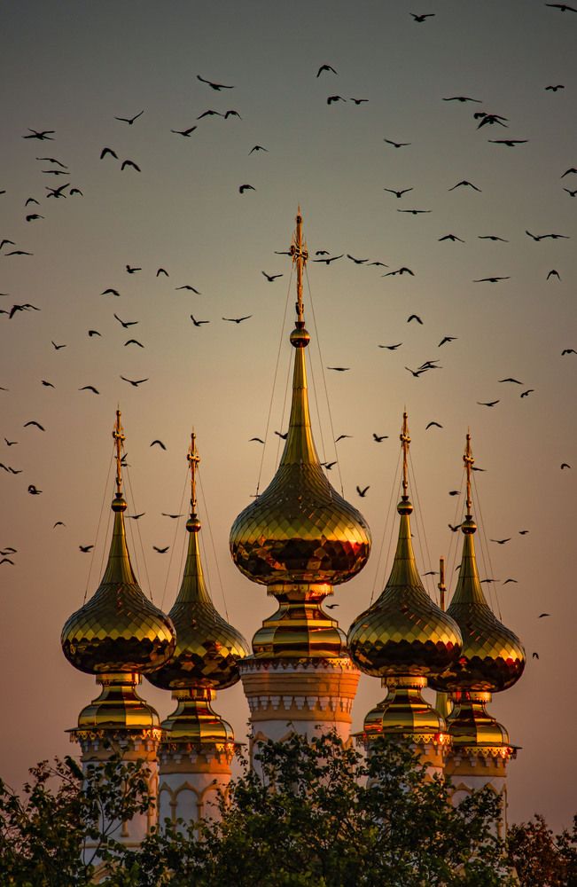 Photograph by Александр Довганюк