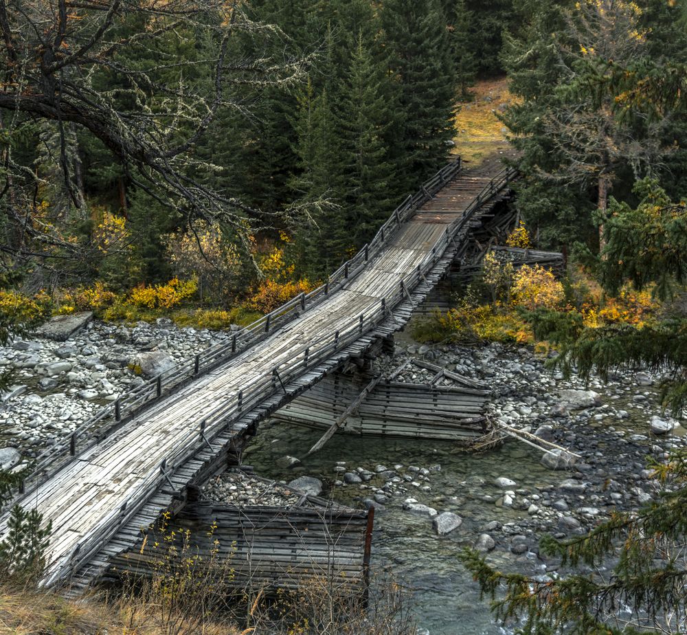 Photograph by Mark Devender