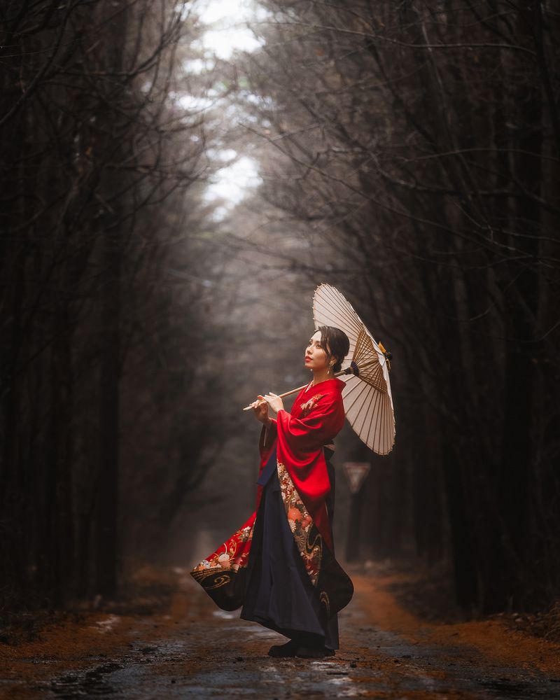 Crimson in the Mist