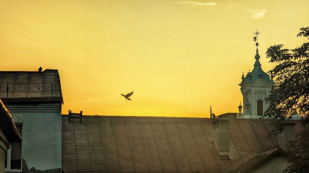 Photograph by Ирина Багдасарова