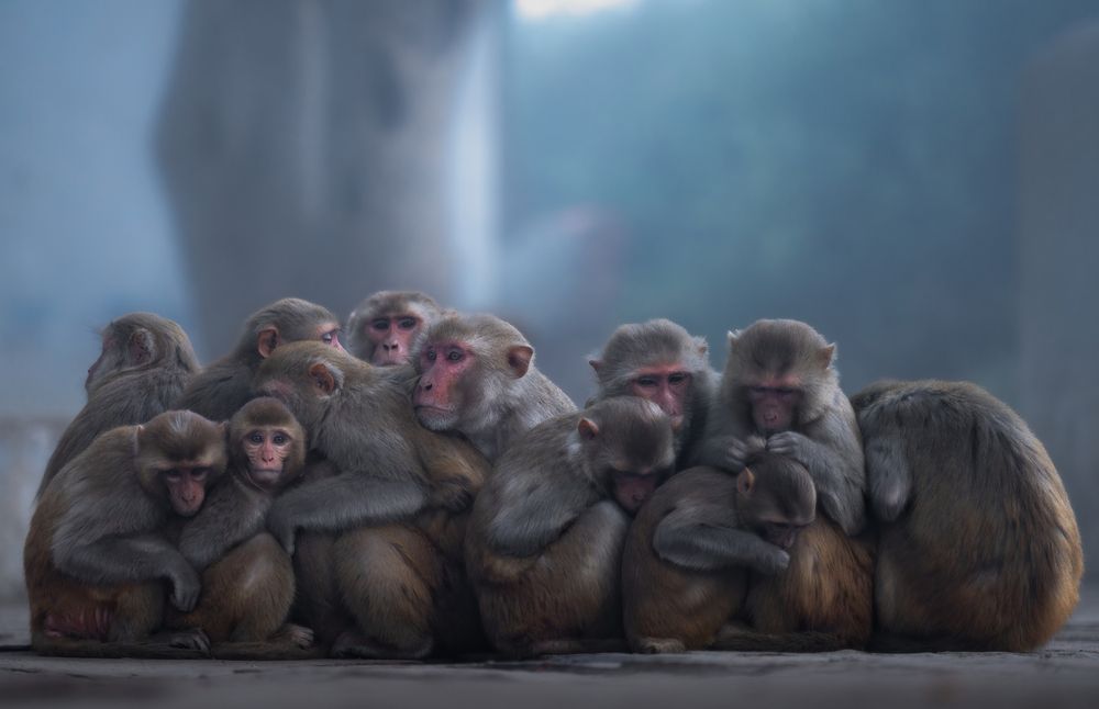 Фотография автора Abhisek Bagaria