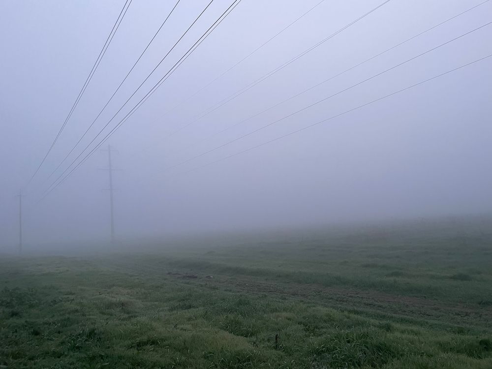 Photograph by Юлия Новичихина