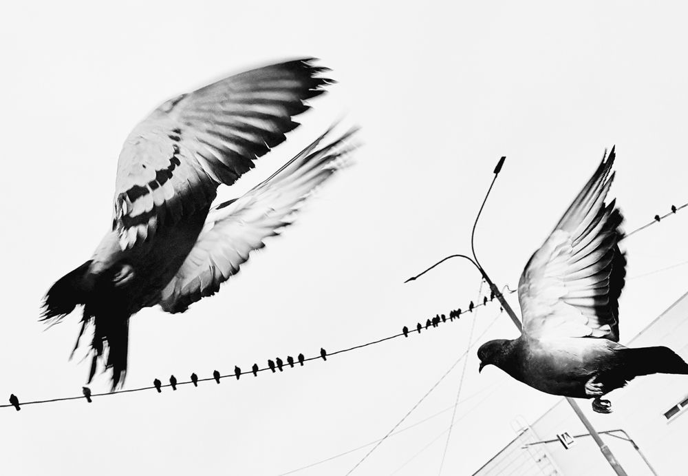 Photograph by Алиса Макарова