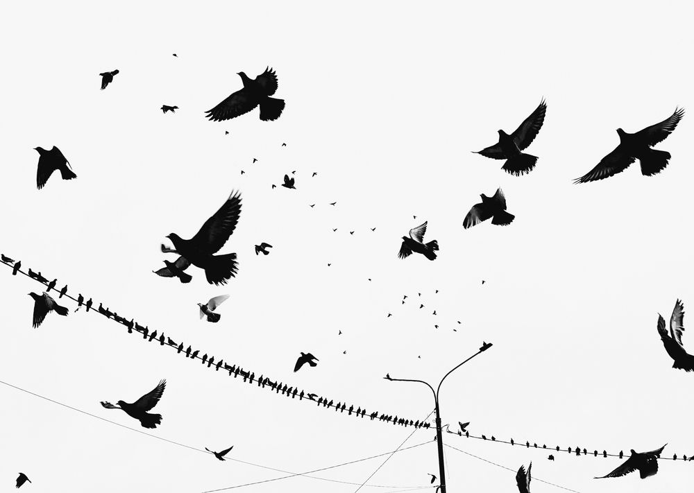 Photograph by Алиса Макарова