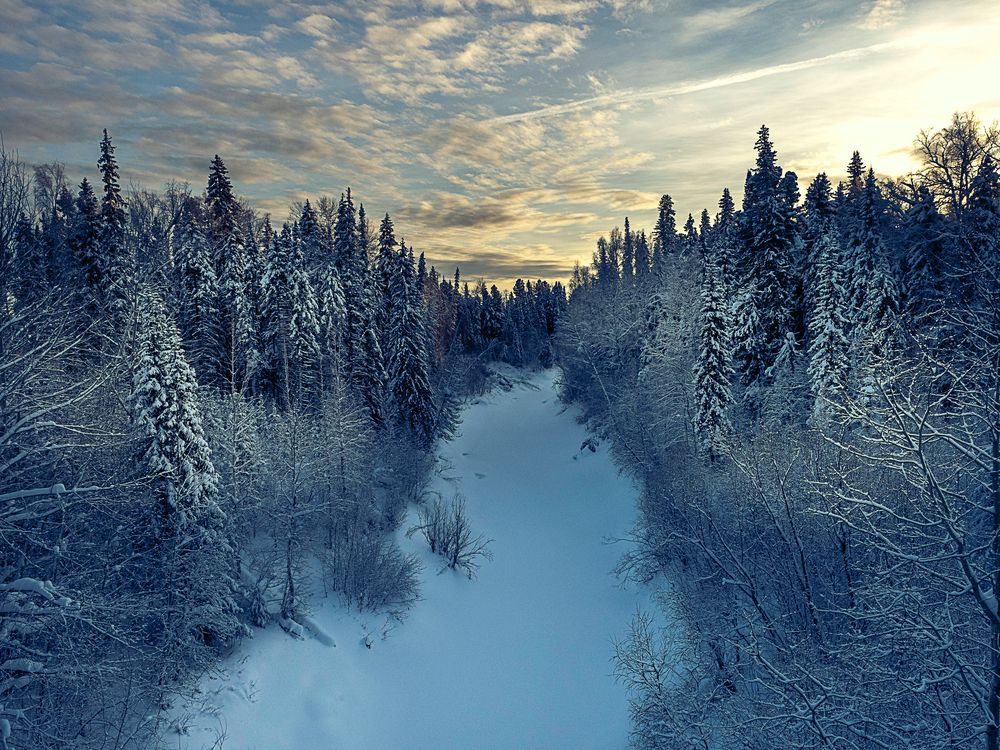 Фотография автора Straand2614