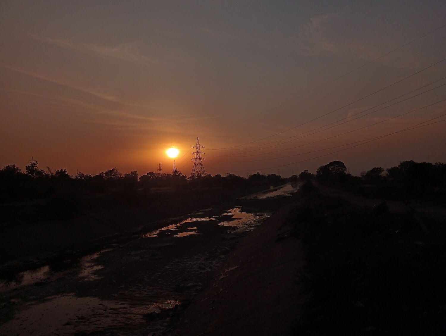 Photo #13317585