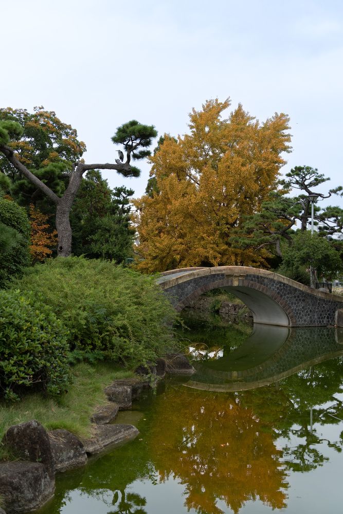 Фотография автора Светлана Зимина