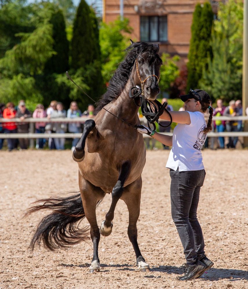 Photograph by Елена Данченко