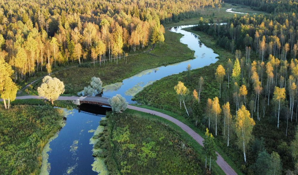 Фотография автора Александр Нагибин