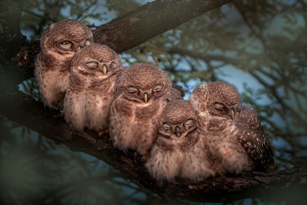 Photograph by Abhisek Bagaria
