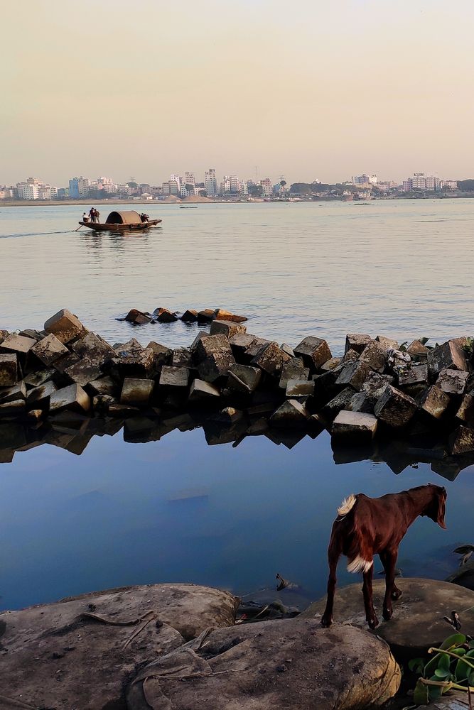 Photograph by Rahul Islam bahar