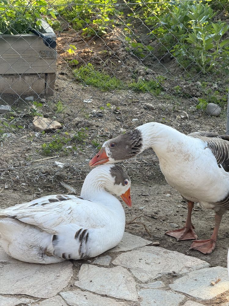 Photograph by Iuliia Zharikova