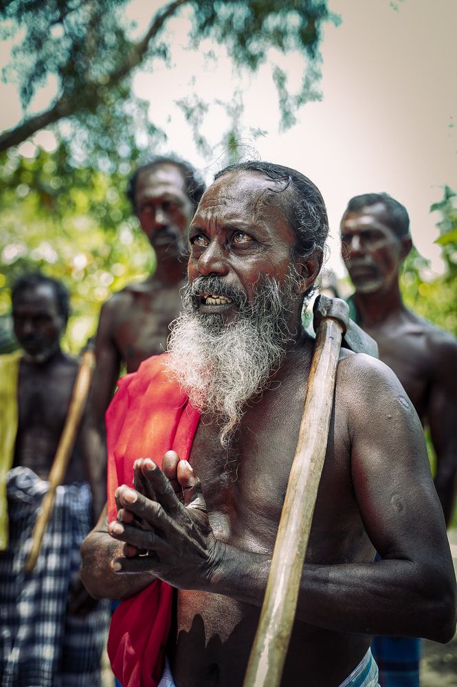 Roots and Ritual.