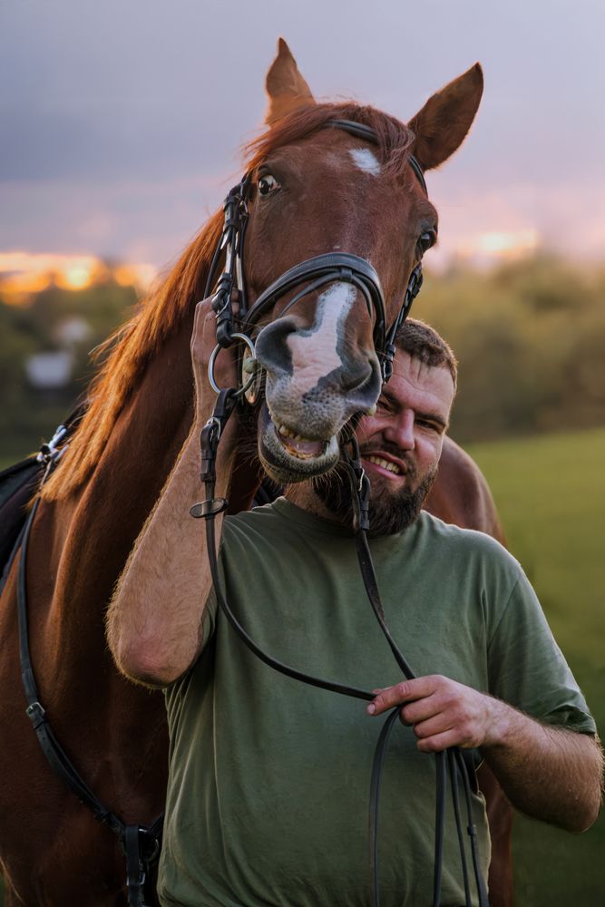 Photograph by Veronika Biró