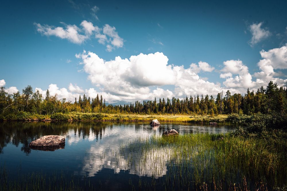 Фотография автора Ruslan Badykov