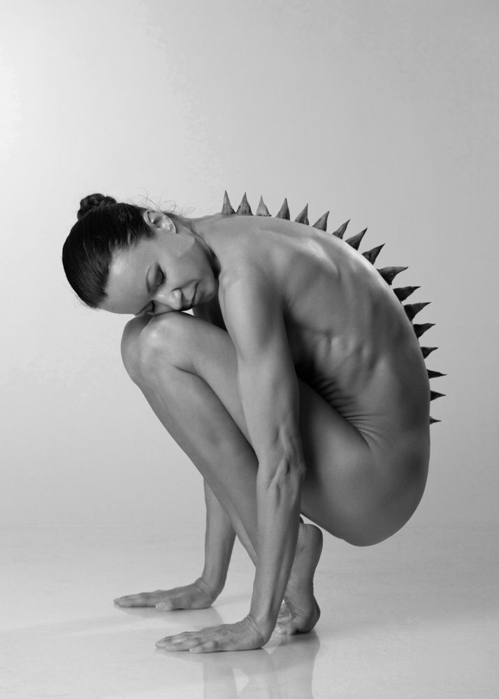 Фотография автора Элеонора Фридман