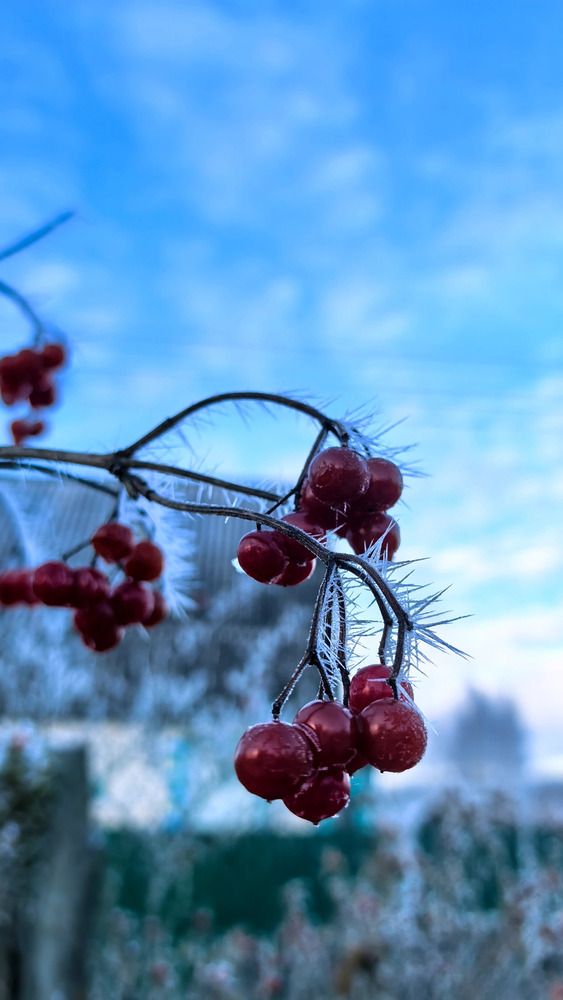 Photograph by Павел Шагулин