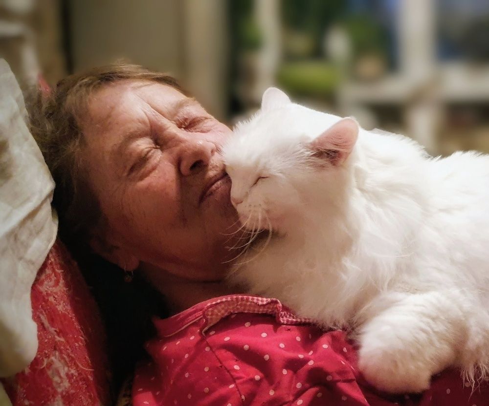 Photograph by Дмитрий Сорокин