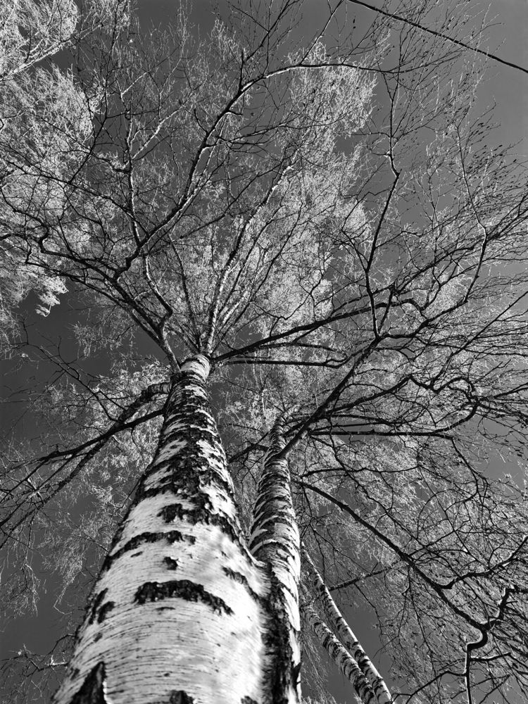 Photograph by Maryna Kukhtsikava