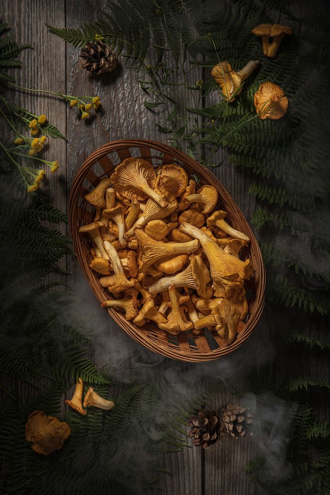 Фотография автора Ольга Яр