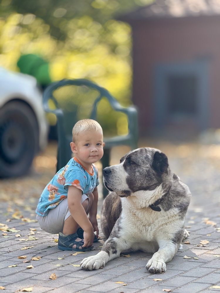 Photograph by София Лысова