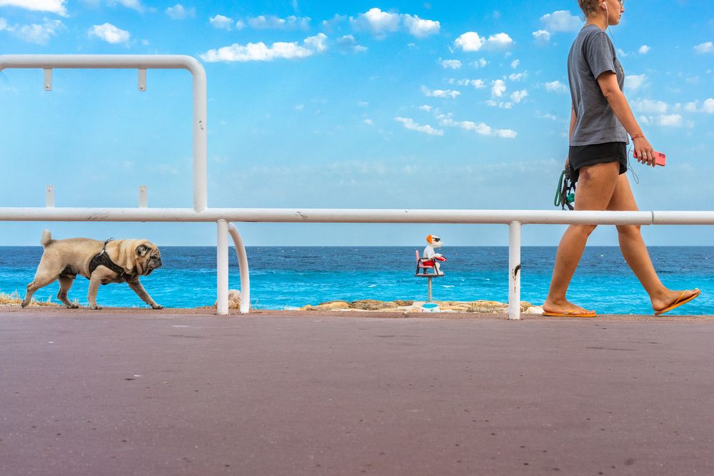 Photograph by Pierre Pauwels