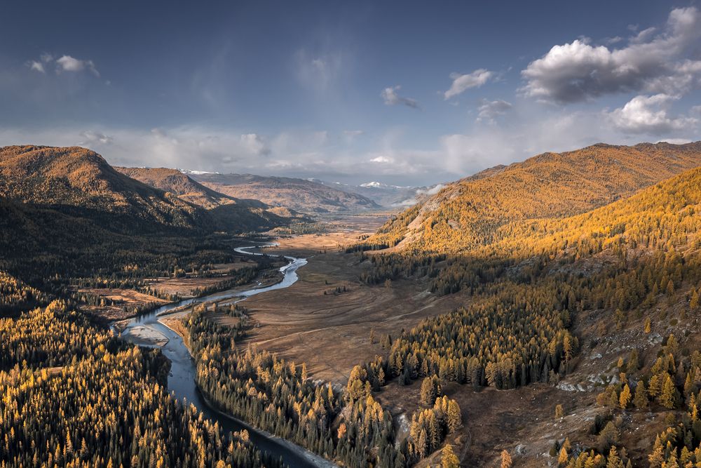 Photograph by Mark Devender
