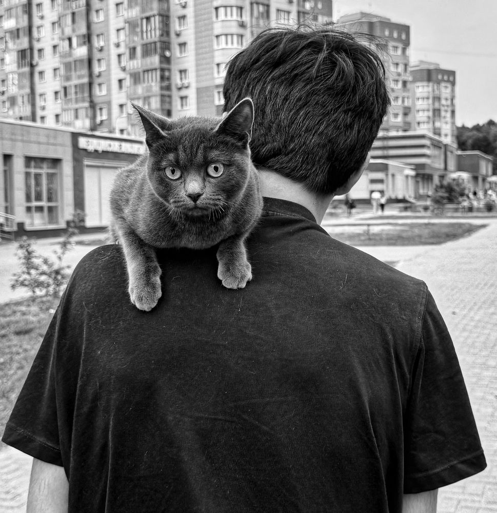 Photograph by Ольга Денисова