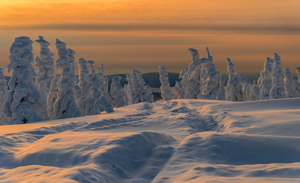 Photograph by Пешков Валерий