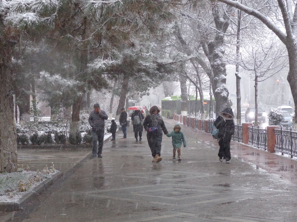 Photo #13318114
