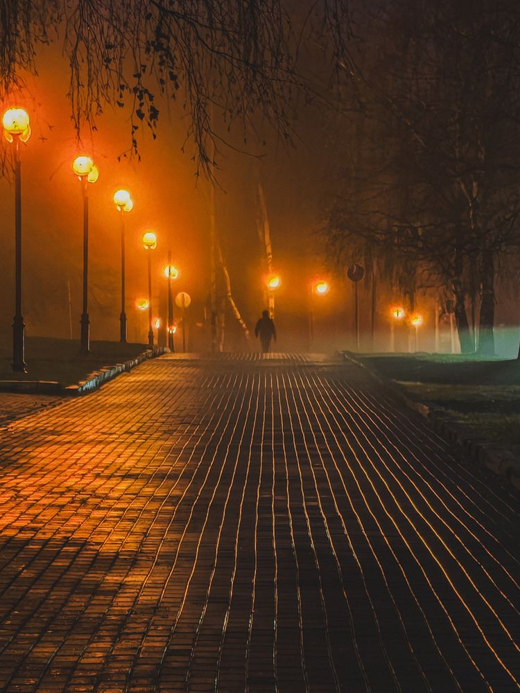 Photograph by Ксения Шилина
