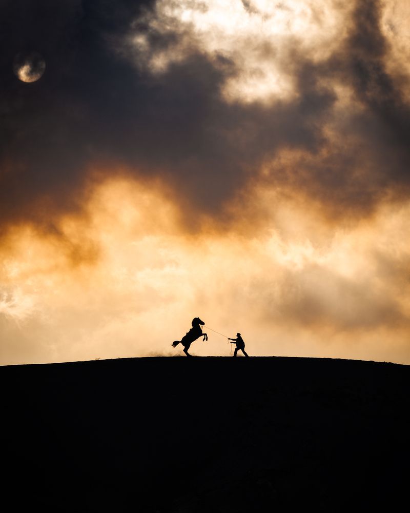 Photograph by Sebastian Tan