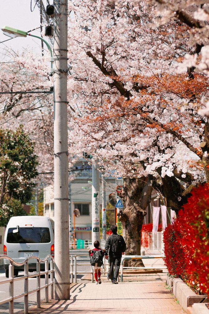 Фотография автора SHIN