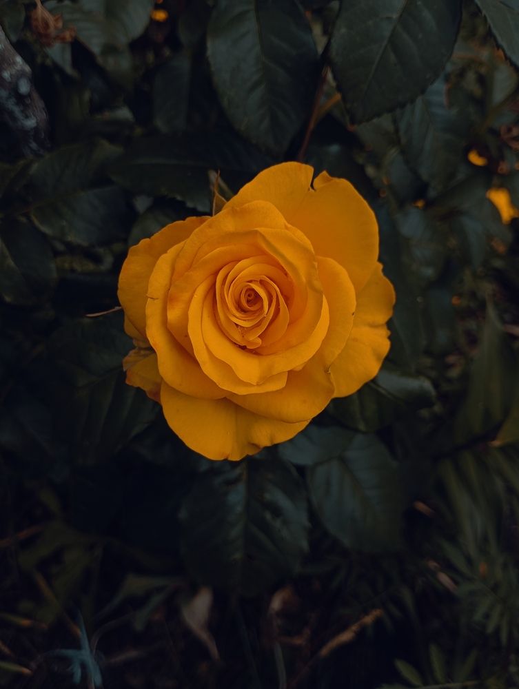 Photograph by Лиана Газизова