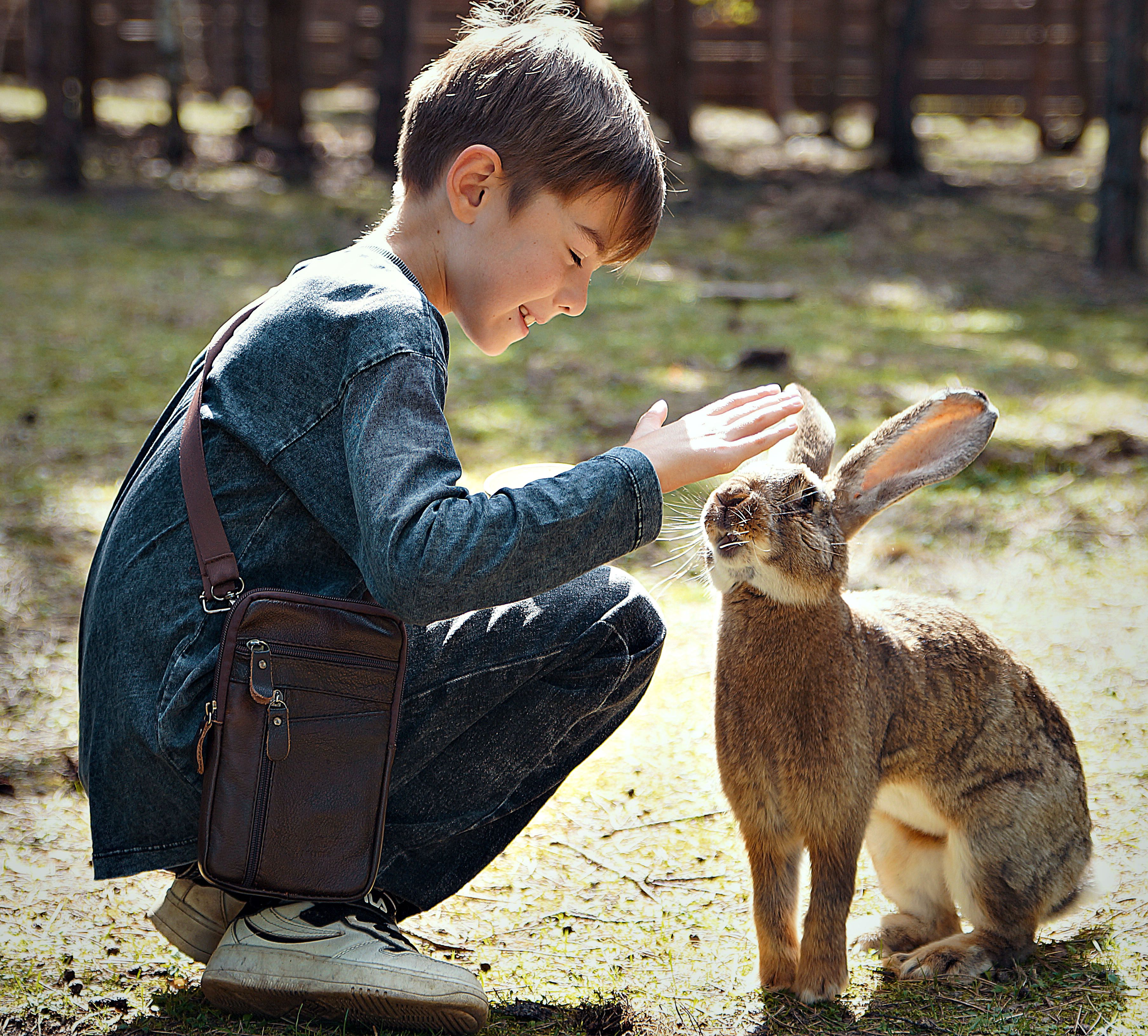 Гордюха и кролик Павел.
