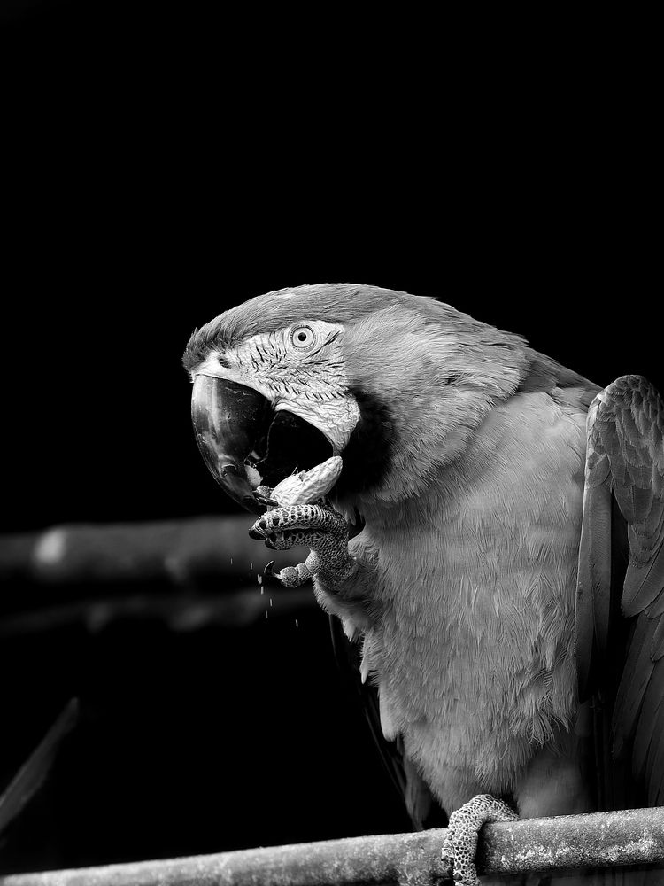 Photograph by Владимир Лобанов