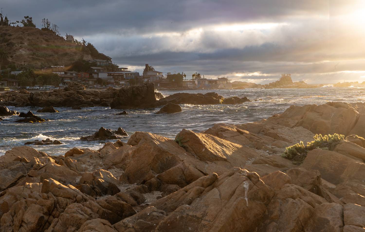 Фотография #13318224