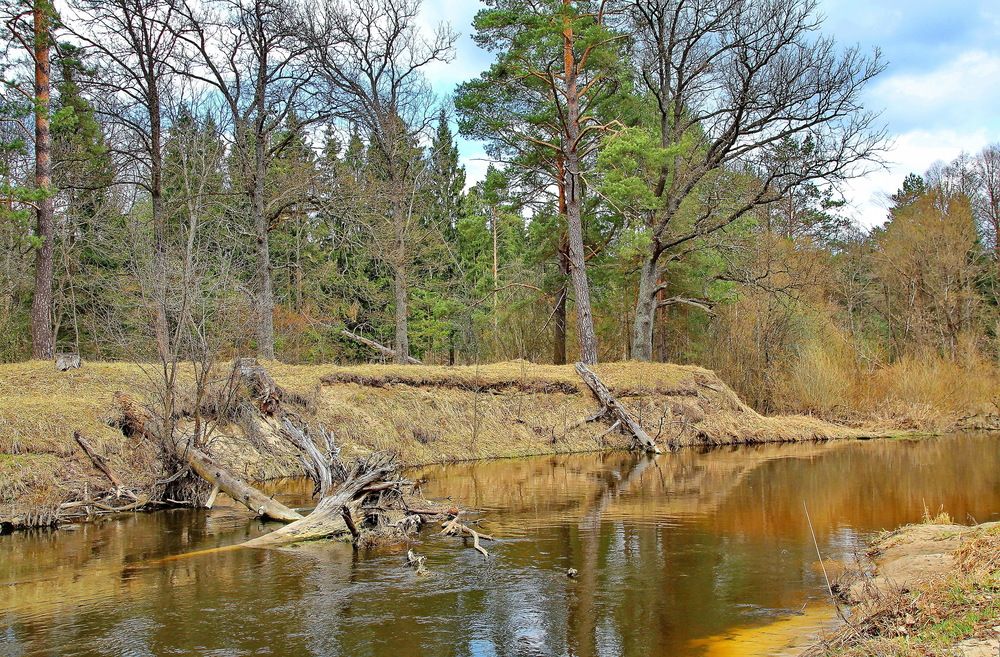 Photograph by Виталий Симоненков