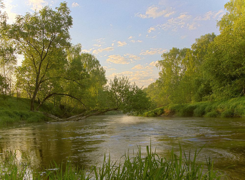 Река в разливе