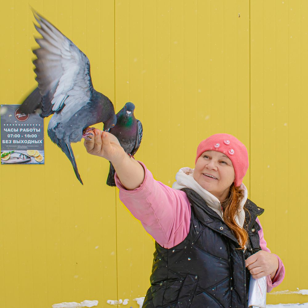 Фотография автора Николай Абакумов