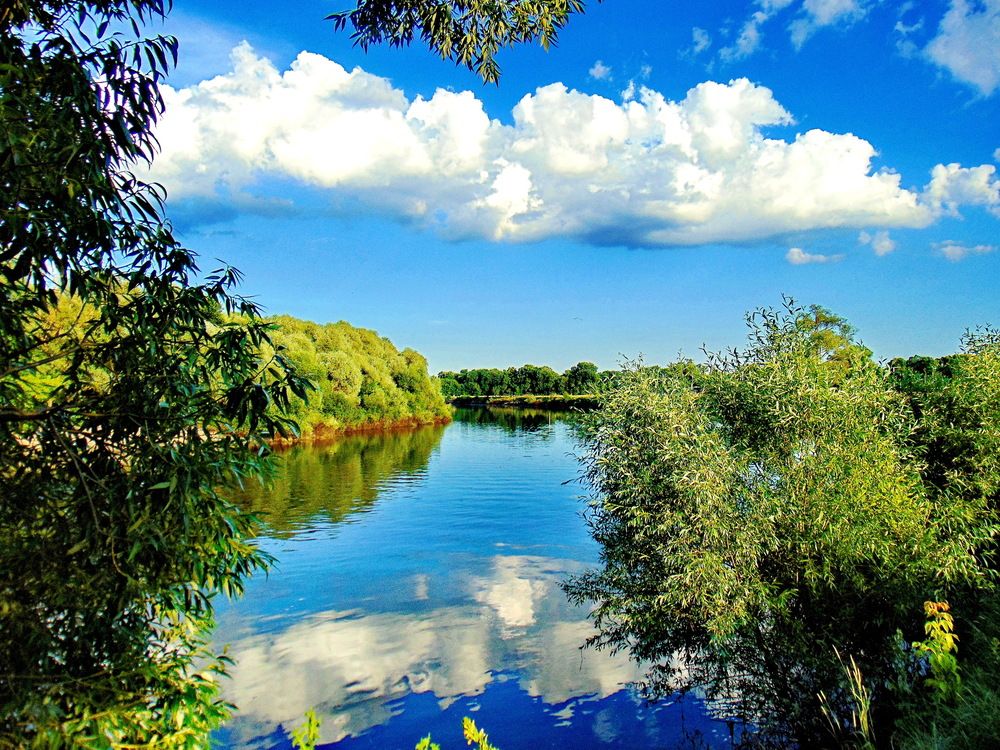 Photograph by Виталий Симоненков