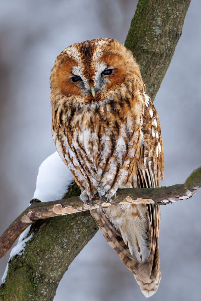 Photograph by Антон Науменко