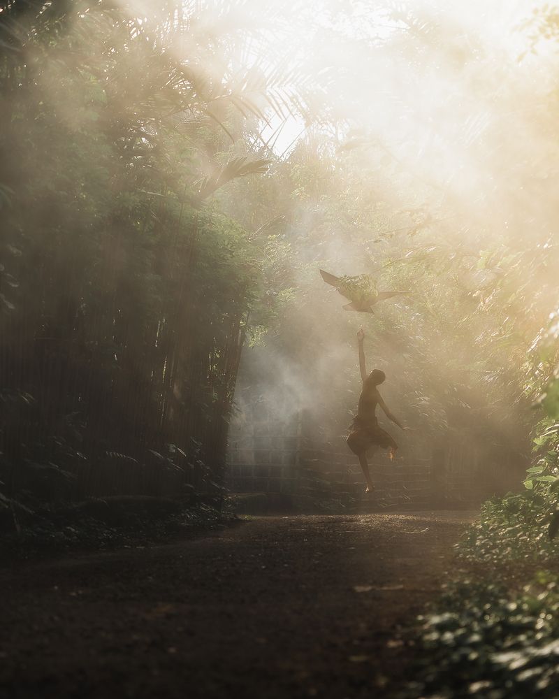 Chasing the Light