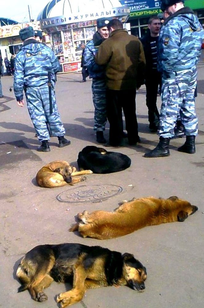 Photograph by Владимир Малёшин