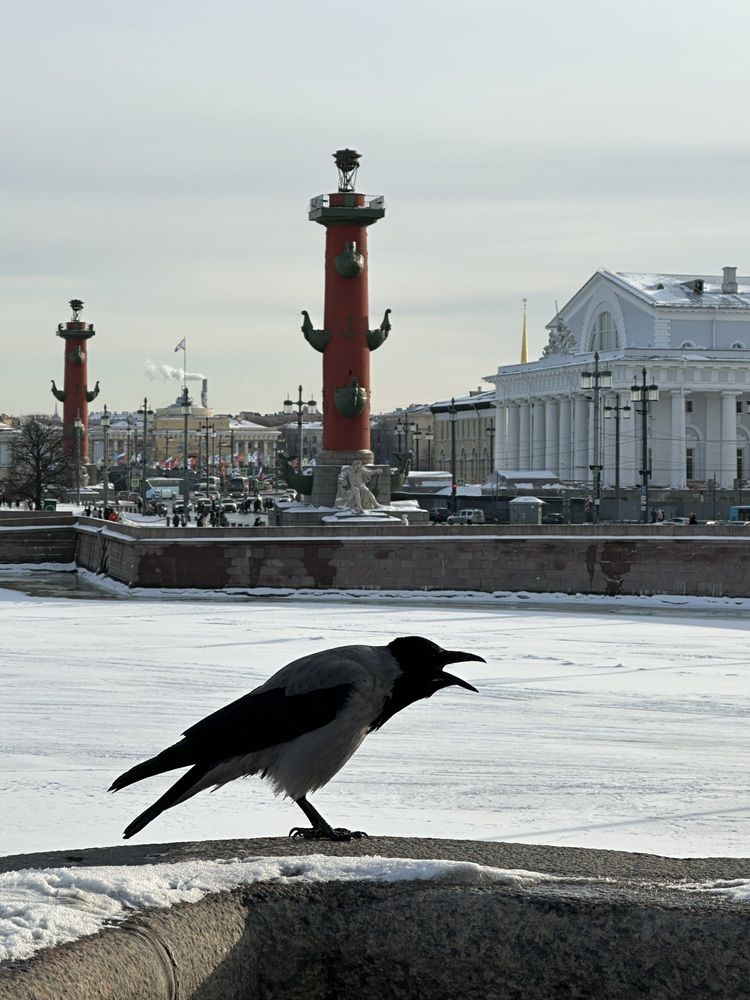 Photograph by Елена Безперстова