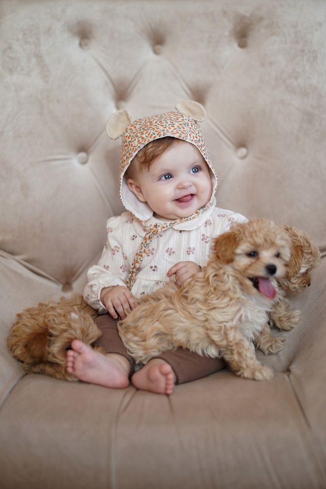 Photograph by Анастасия Позинич