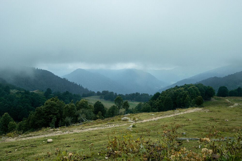 Photograph by Татьяна Ахметова