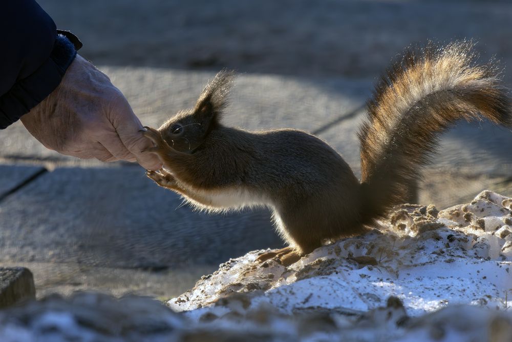 Photograph by Волынский Виктор