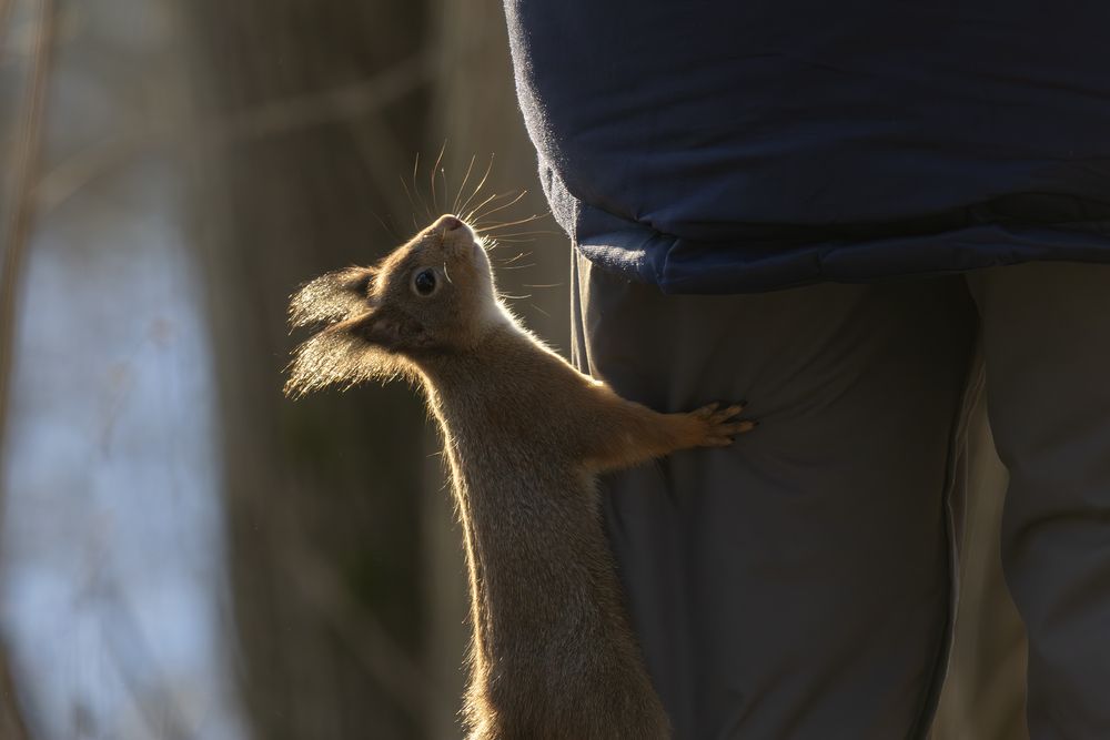 Photograph by Волынский Виктор