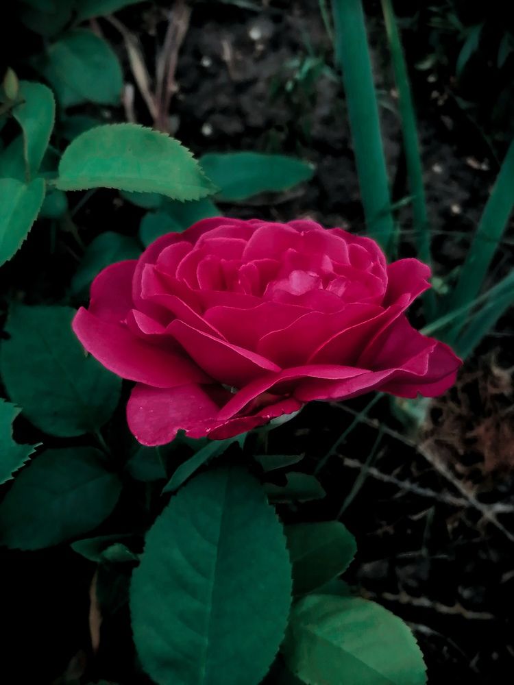 Photograph by Алексей Титков